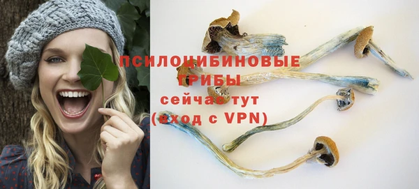 эйфоретик Абинск