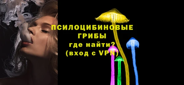 эйфоретик Абинск