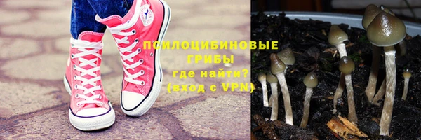 сатива Абдулино