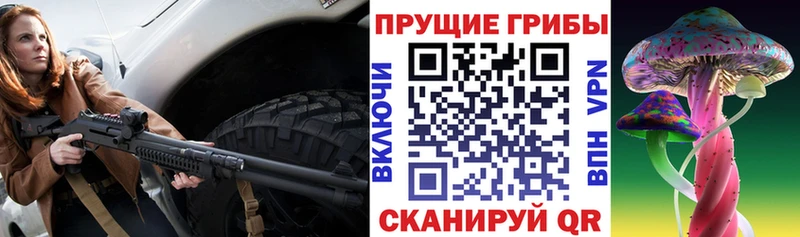 Псилоцибиновые грибы GOLDEN TEACHER  Отрадная 
